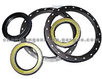 Oil Seal with ISO/TS 16949