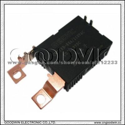 Latching Relay (60A/80A,250VAC) GW718B