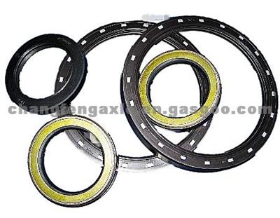 Oil Seal with ISO/TS 16949