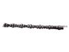 Dongfeng Cummins Camshaft 3966430