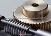 Worm Gear