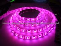 LED Strip Light NL5-L5M-300W-33-L1