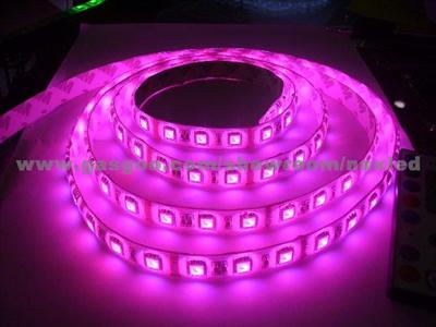 LED Strip Light NL5-L5M-300W-33-L1