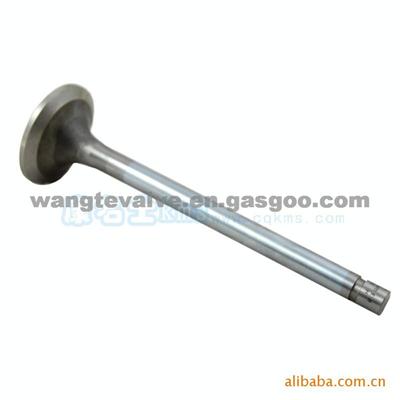 Dongfeng Cummins Intake & Exhaust Valve