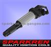 Ignition Coil BMW 12131712219