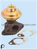 ISO/TS16949 EGR VALVE 7.21943.05.0