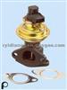 ISO/TS16949 EGR VALVE 7.22074.03.0