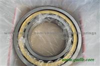 SKF Cylidrical Roller Bearings