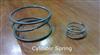 MJ 021 Compression Spring / Stainless Steel Sealing Spring