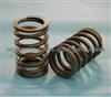 MJ 022 Compression Spring / Valve Spring