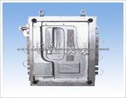 Door Panel Mould