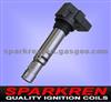Ignition Coil 036905715A