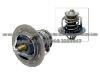 Thermostat 21200-P7901