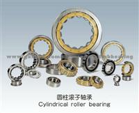 Cylindrical Roller Bearing N,NJ,NN,NU,NUP,RN,NF Series