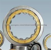 Cylindrical Roller Bearings ID 5mm ~ OD 5m