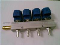 LPG CNG Injector Rail