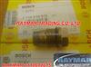 Bosch Pressure Relief Valve 1110010015