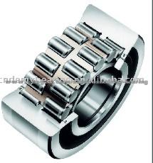 Double Row Cylindrical Roller Bearing