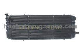 AUTO RADIATOR 212151301012