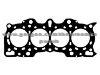 Cylinder Gasket 10125200