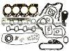 Cylinder Gasket 10101-53Y25