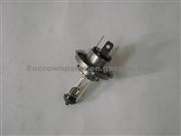 VOLVO DAF Truck Bulb, Spotlight 1354889,20003402650,3402650