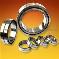 Cylindrical Roller Bearings 220E