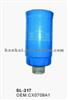 Auto Fuel Filter CX0709A1