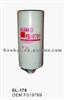 Auto Fuel Filter FS19789