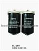 Auto Fuel Filter C0813S ASSY