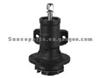 RENAULT Water Pump 5010323187