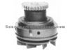 RENAULT Water Pump 5000663009