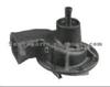 RENAULT Water Pump 316GC1184