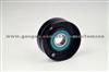 Tensioner Bearing Vkm26020