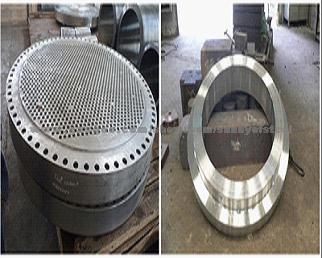 Forged Ring Tube Sheet Flange