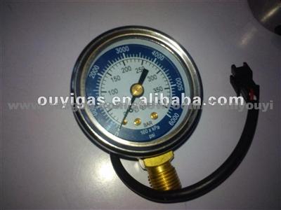 CNG Pressure Gauge