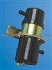 Electronic Fuel Pump 45995896