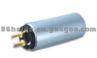 TS16949 Electrical Fuel Pump