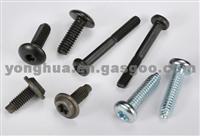 Socket Plum Round Screw  Gr.2 Gr.5 Gr.8