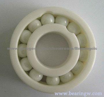 Full Ceramic Bearing the cage made by PTFE