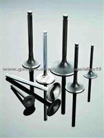 Engine Valve Factory (Has 22 Years Production Experience)