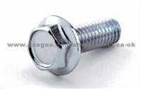 Hex Flange Head Bolt (DIN6921)