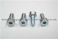 Torx Socket Head Cap Screw