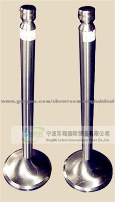 EXHAUST VALVE AND SEATING