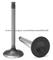 LADA Engine Valve 2101-1007012 Factory (Has 22 Years Production Experience)