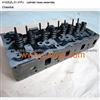 Cylinder Head Assembly 4102EZL.01.01PJ
