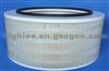 Air Filter AF4609