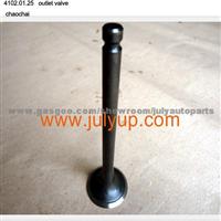 Outlet Intake & Exhaust Valve 4102.01.25