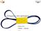 Ribbed Belt 4798385 6PK2490 CHRYSLER King - img1