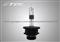 D2R Hid Xenon Bulb